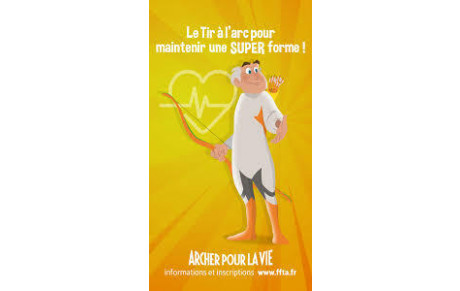 Attribution des arc adulte 